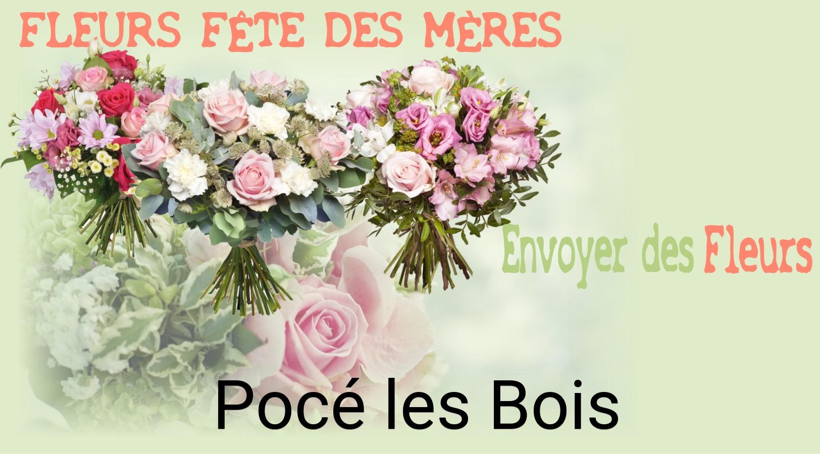 Bouquet de Fête des Mères livré à Pocé-les-Bois